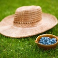 Blueberries and a hat