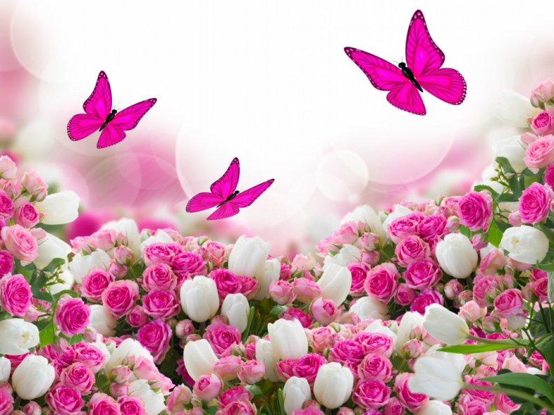 flowers_and_butterflies.jpg