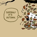 "Suddenly, it's Autumn"