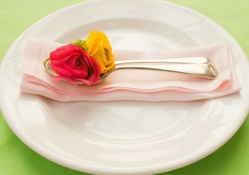 Spoon of rose