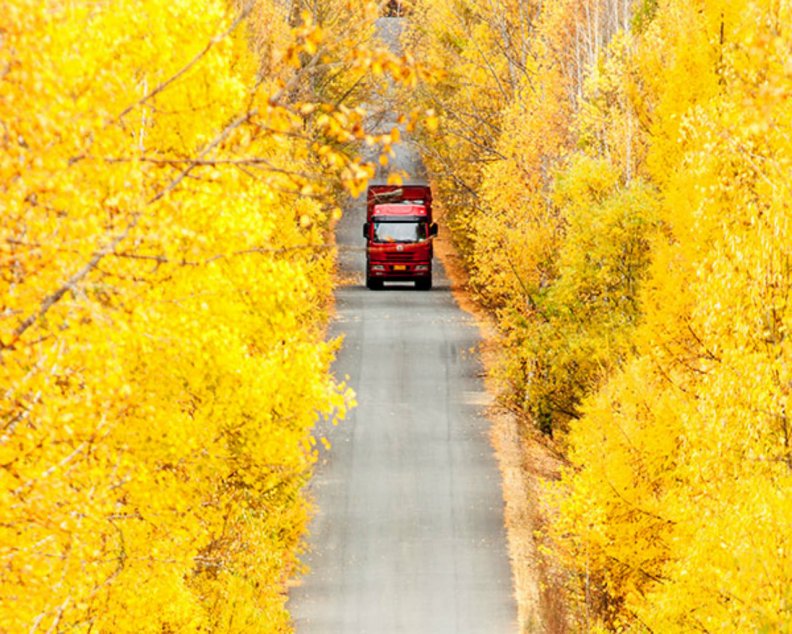 red_truck_in_autumn.jpg