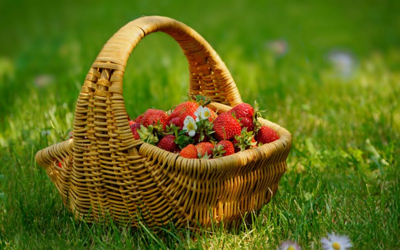 a_basket_of_strawberries.jpg
