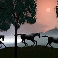 Twilight galloping