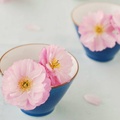 Cups of flowers