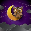 Owl on the moon