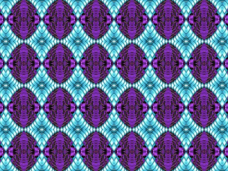 purple_blue.jpg