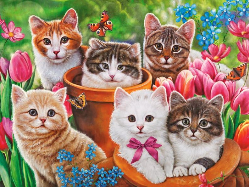 Garden kittens