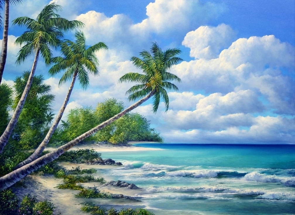Tropical Scenery
