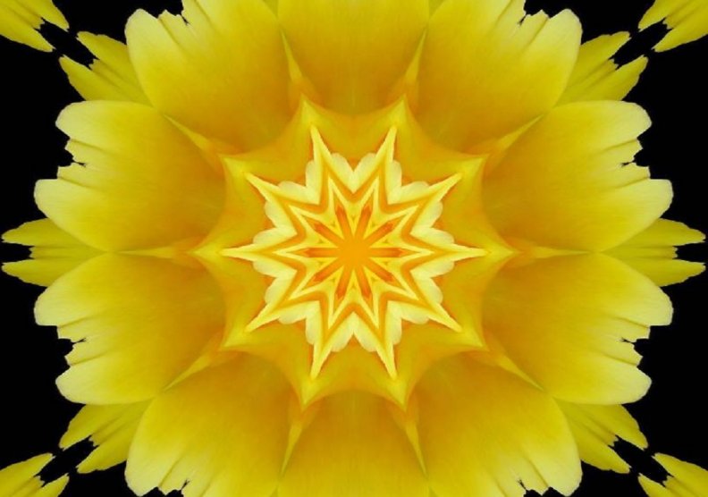 yellow_flower_abstract.jpg