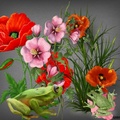 FROGS WITH FLOWERS