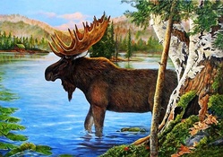 Big Moose