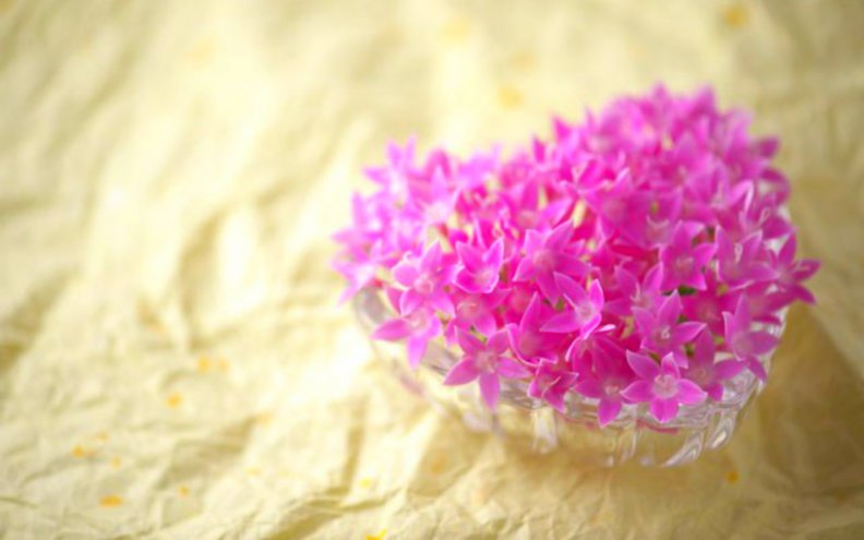 pink_flowers.jpg