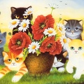 Kittens and poppies