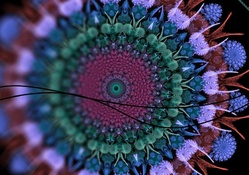 floral_fractal_art