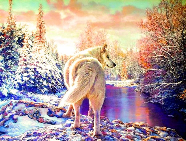 white_wolf_in_winter.jpg
