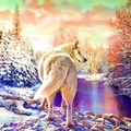 White Wolf in Winter