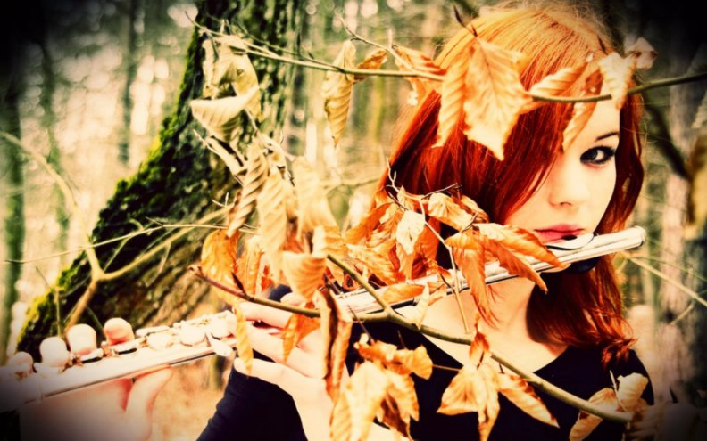 autumn_melody.jpg