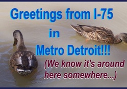 Getting Along Swimmingly in Metro Detroit...