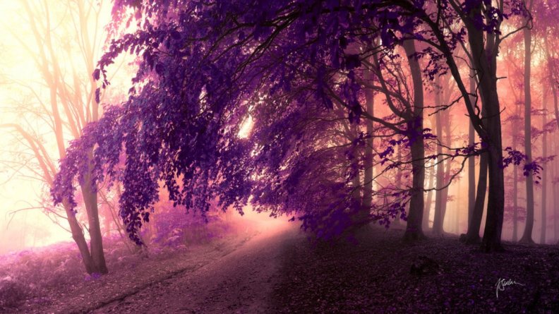 nature_in_purple.jpg