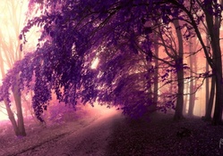 Nature in Purple