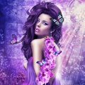 Purple Orchid Beauty