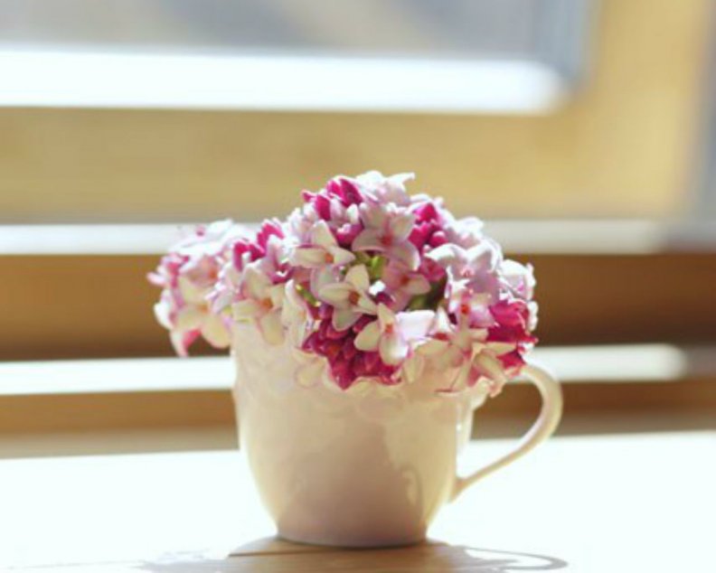 cup_of_flowers.jpg