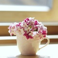 Cup of flowers