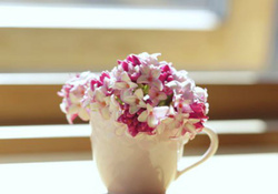 Cup of flowers