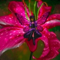 Flower Fairie