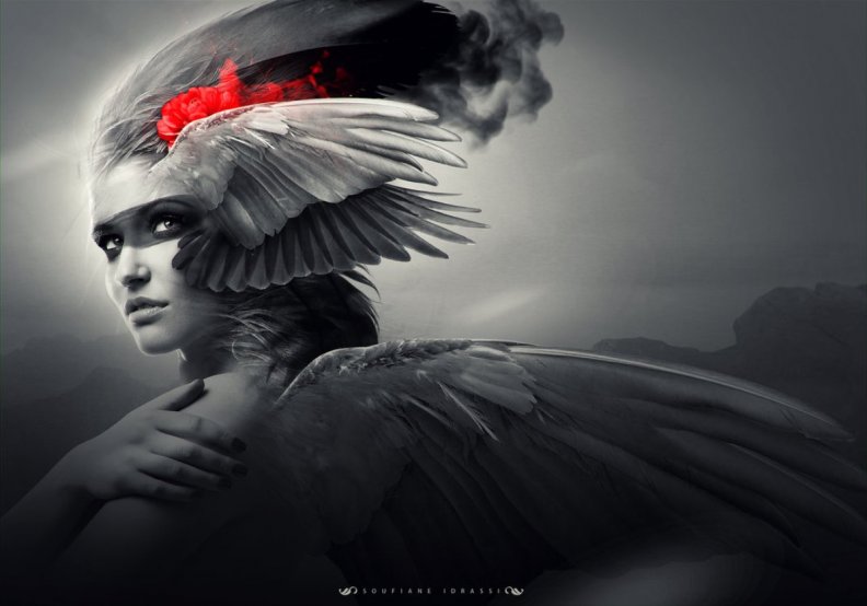 winged_angel.jpg