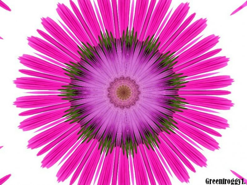 pink_purple_flower.jpg