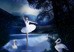 swan n ballet at lake