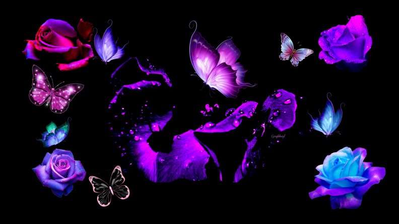 roses_amp_butterflies_desktop.jpg