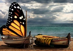 ƸӜƷ.butterfly_boatƸӜƷ.