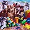 Beach Puppies