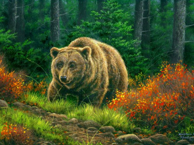 grizzly_bear.jpg