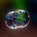 Bubbles V.