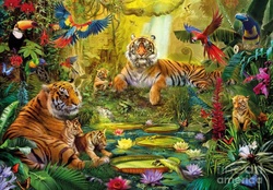Tiger Family in the Jungle