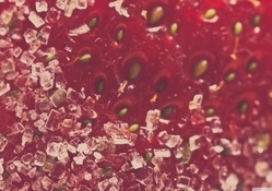 Strawberry in sugar