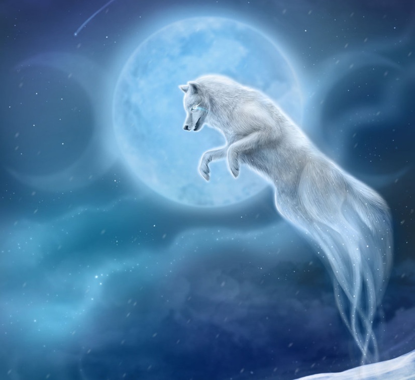 Magical Leaping Wolf