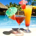 paradise cocktails