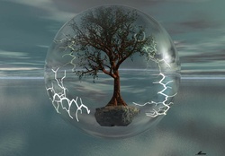 Tree in a bubble
