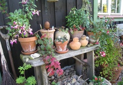 Garden Arrangement