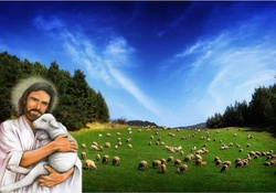 Good shepherd
