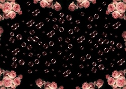 Roses and bubbles
