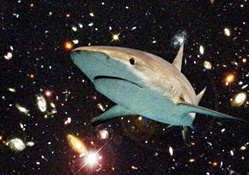 shark in space