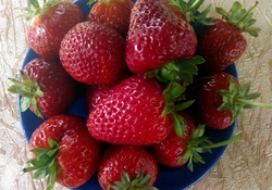 strawberries for my friends ^_^