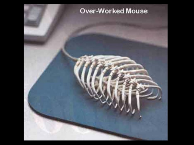 OVER WORKED MOUSE