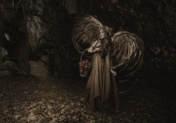 Angel In The Dark Forest