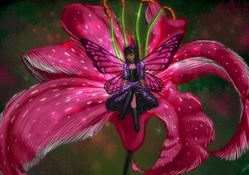 Fairy on lily